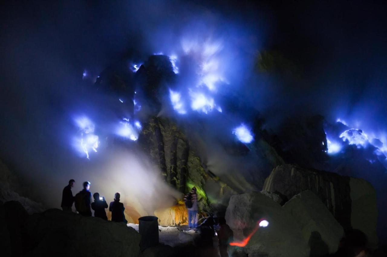 Dannu'S Homestay & Ijen, Bromo, Meru Betiri Sukomade Tours บันยูวังงี ภายนอก รูปภาพ