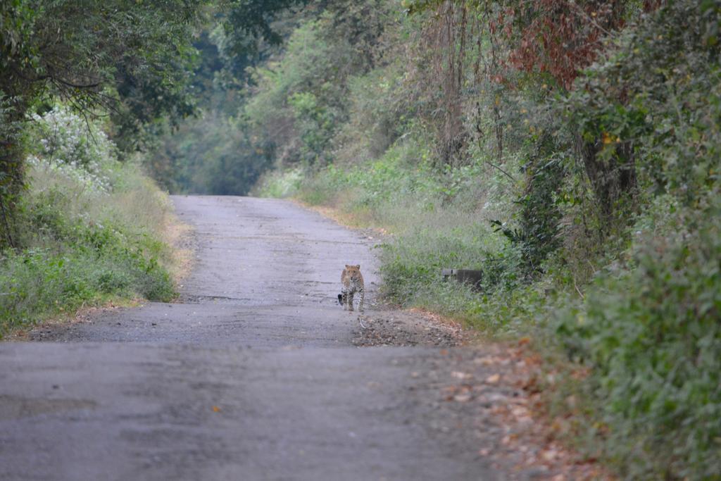 Dannu'S Homestay & Ijen, Bromo, Meru Betiri Sukomade Tours บันยูวังงี ภายนอก รูปภาพ