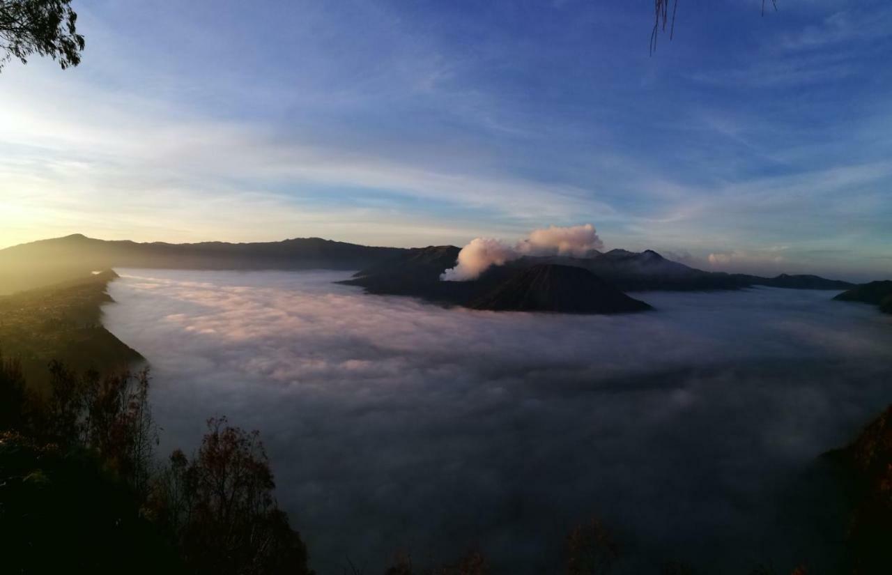 Dannu'S Homestay & Ijen, Bromo, Meru Betiri Sukomade Tours บันยูวังงี ภายนอก รูปภาพ